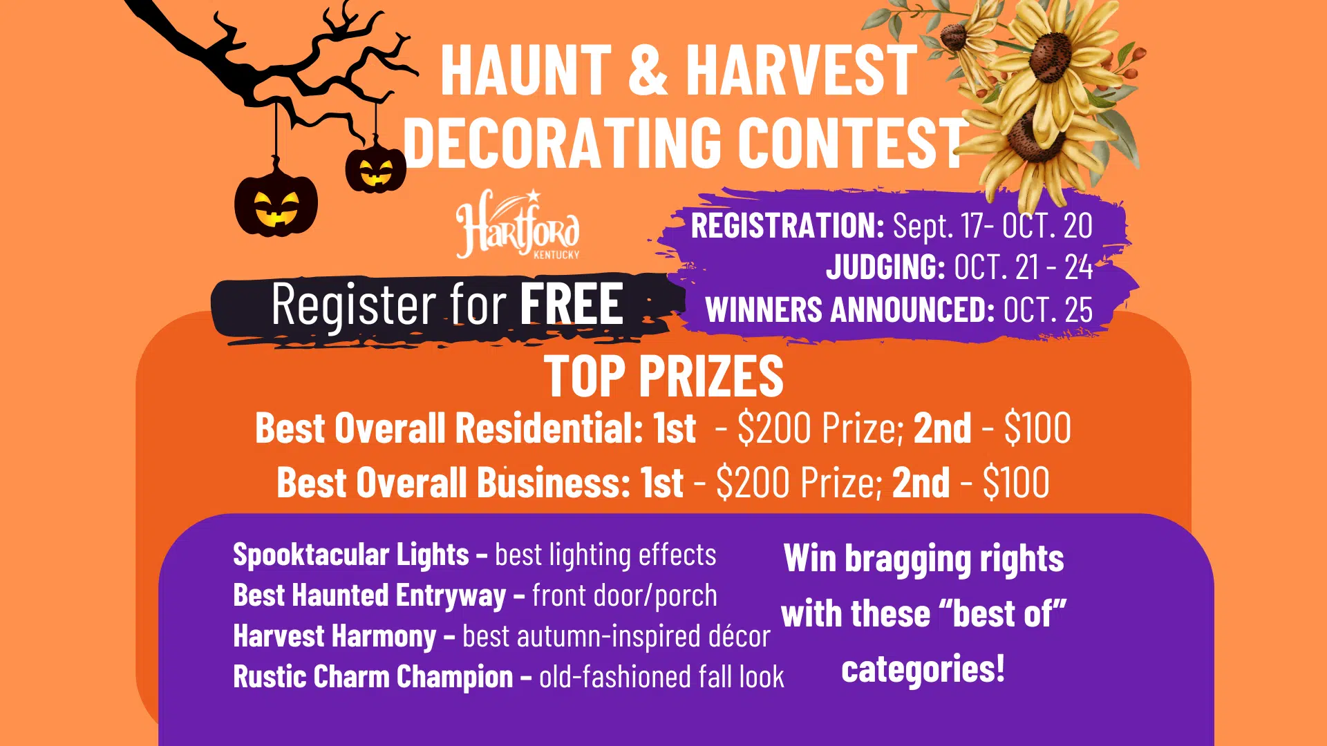 Decorative image with details in the event